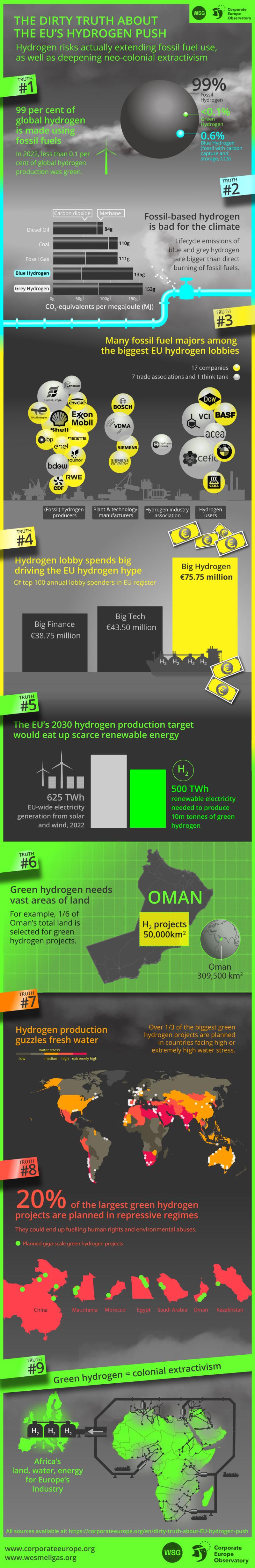 Long infographic into the dirty truth about the EU’s hydrogen push