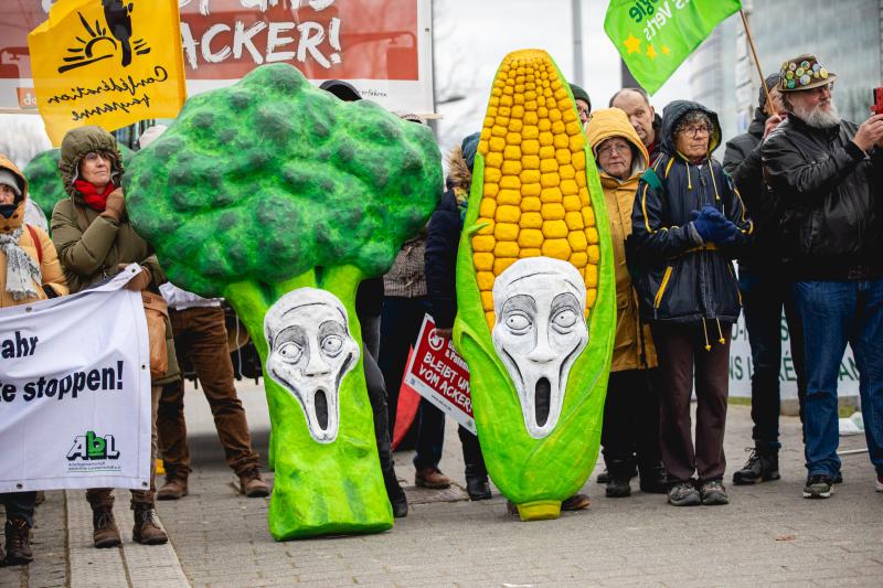 A protest outside the European Parliament in Strasbourg to stand four safety rules on new GMOs.
