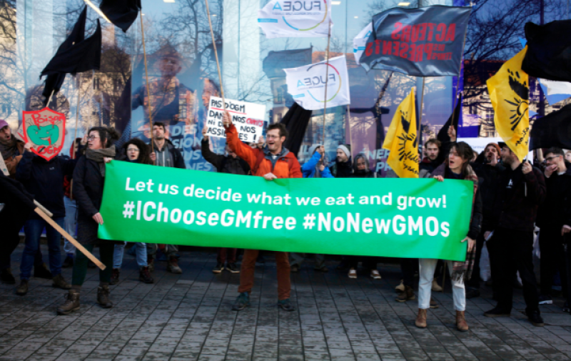 Image of protestors holding a green banner that says: let us decide what we eat and grow! #IChooseGMfree #NoNewGMOs