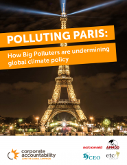 Polluting Paris cover